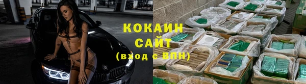 СК Медногорск